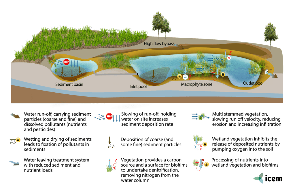 CONSTRUCTED WETLANDS