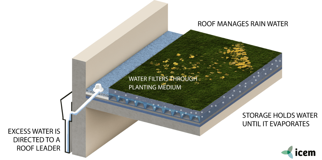 GREEN ROOF – LISA