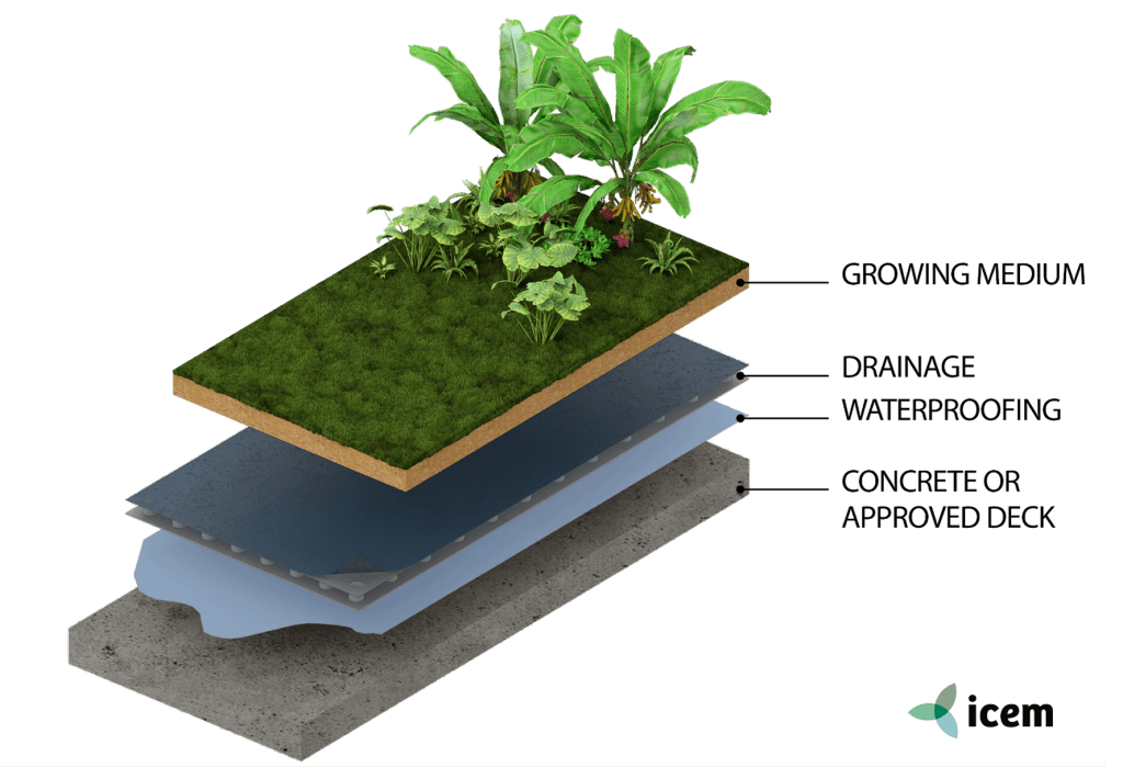 GREEN ROOF – LISA