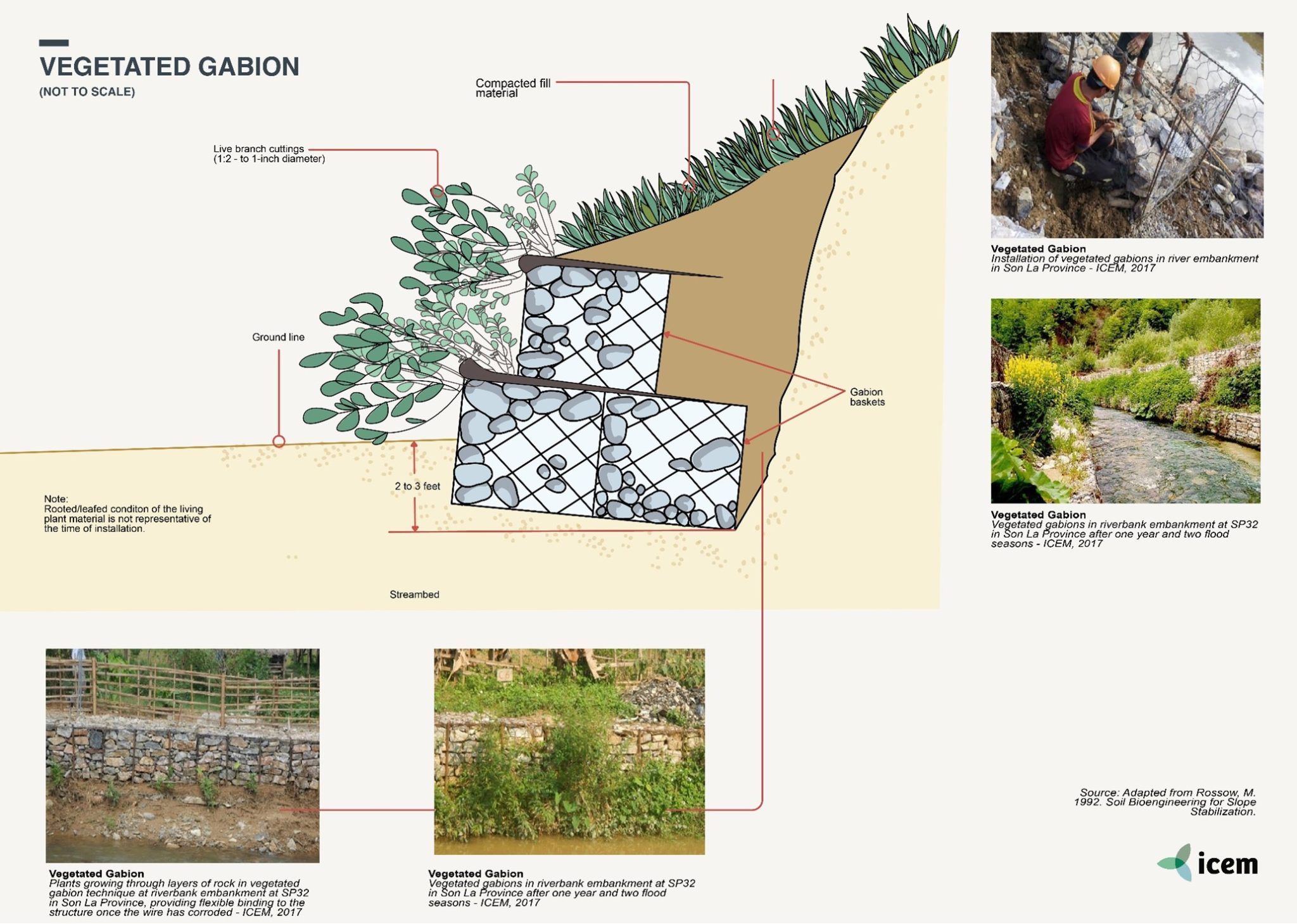 VEGETATED GABIONS – LISA